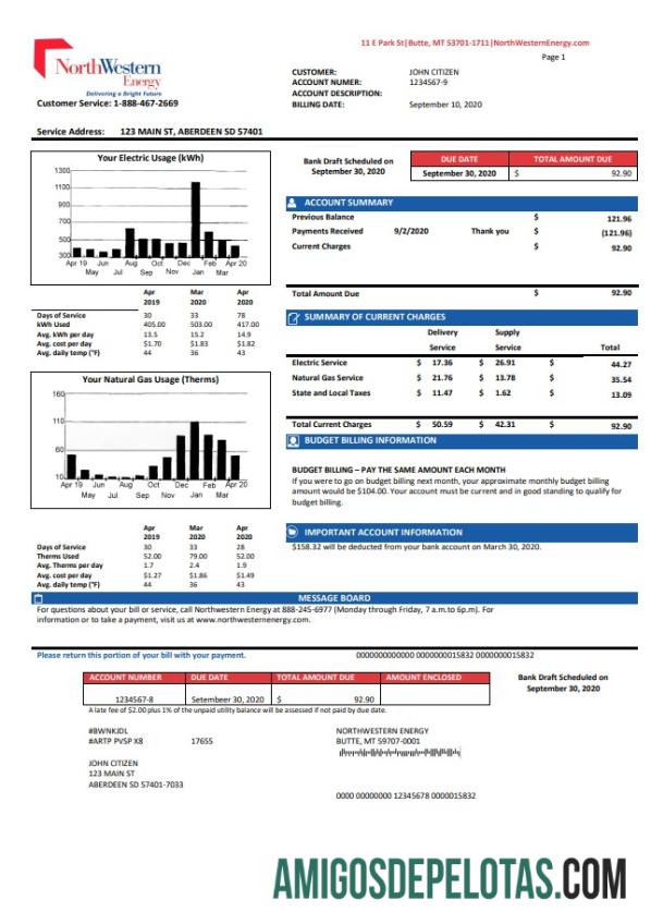 realista Modelo de conta de serviços públicos de energia do noroeste dos EUA em formato Word e PDF, versão 2